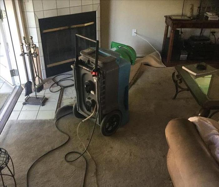 LGR dehumidifier and turned up brown carpet by a fireplace