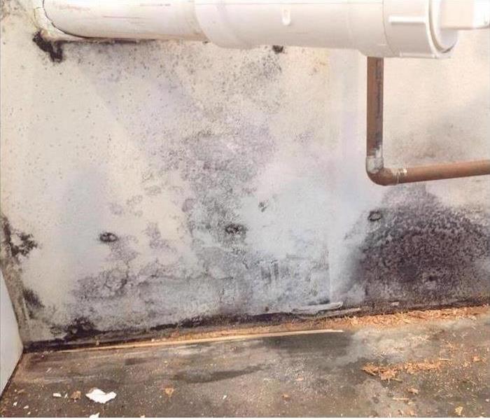 mold on wall, sawdust, PVC drain line