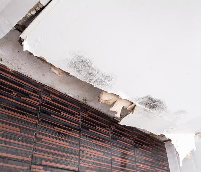 A ceiling weighed down by the weight of water and showing leaks and mold growth